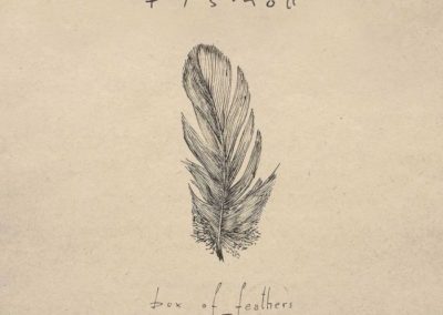 Fismoll – Box of feathers